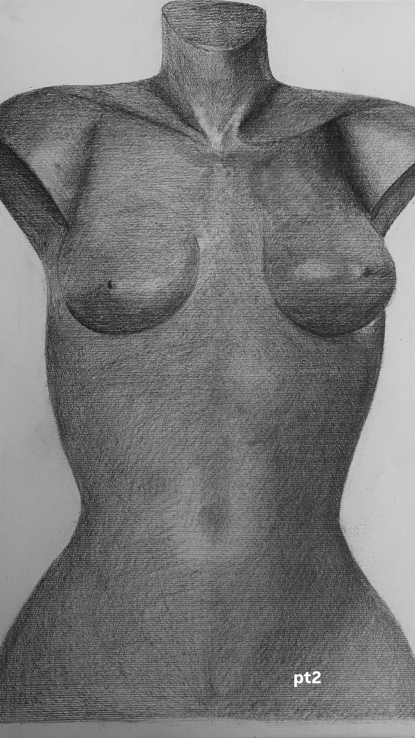 Étude au crayon d'un torse féminin en plâtre, sans tête ni bras, hachures serrées.