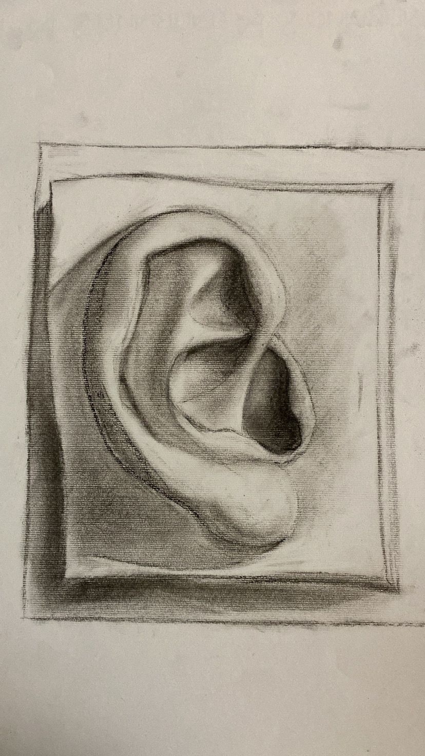 Étude ombrée d'une oreille, cadrée dans un rectangle tracé à main levée.